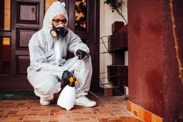 Reliable Cockroach Control contractor in Poquoson, VA by Nex Pest Control
