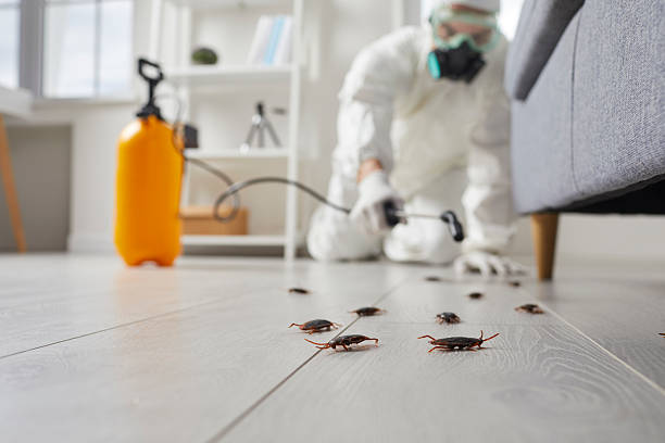 Affordable Cockroach Control solutions in Poquoson, VA